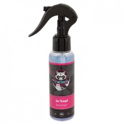 Racoon SEE THROUGH Nettoyant vitres 500ml